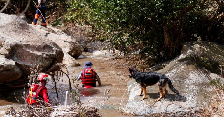 South Africa deploys troops to help with flood relief efforts | News