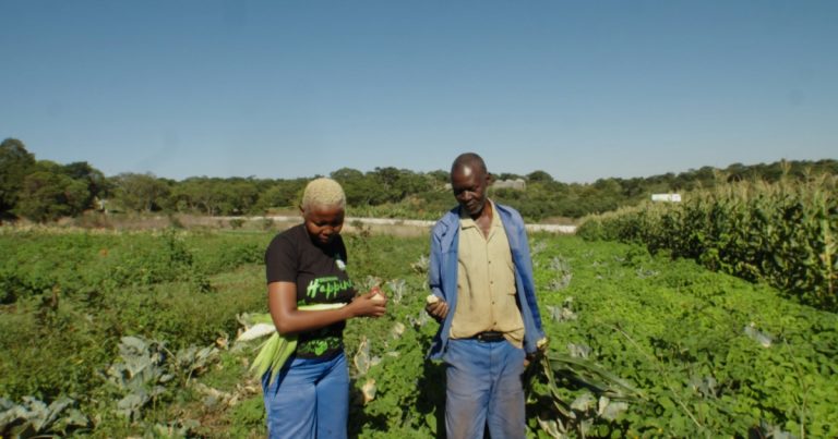 Fresh Farm: A farmer and businesswoman in Zimbabwe | Business and Economy