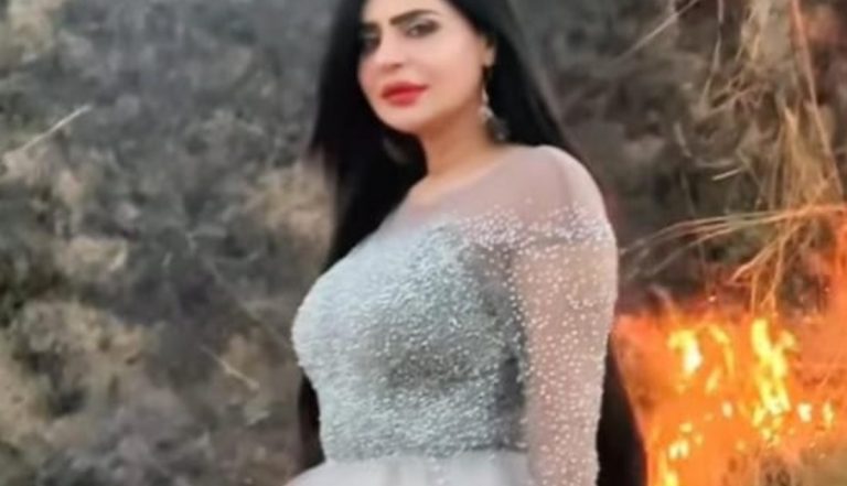 Pakistan: Outrage as TikTok star shoots video next to forest fire | Social Media News